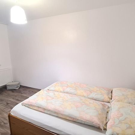 Apartament Apartament In Inima Dornei Vatra Dornei Zewnętrze zdjęcie