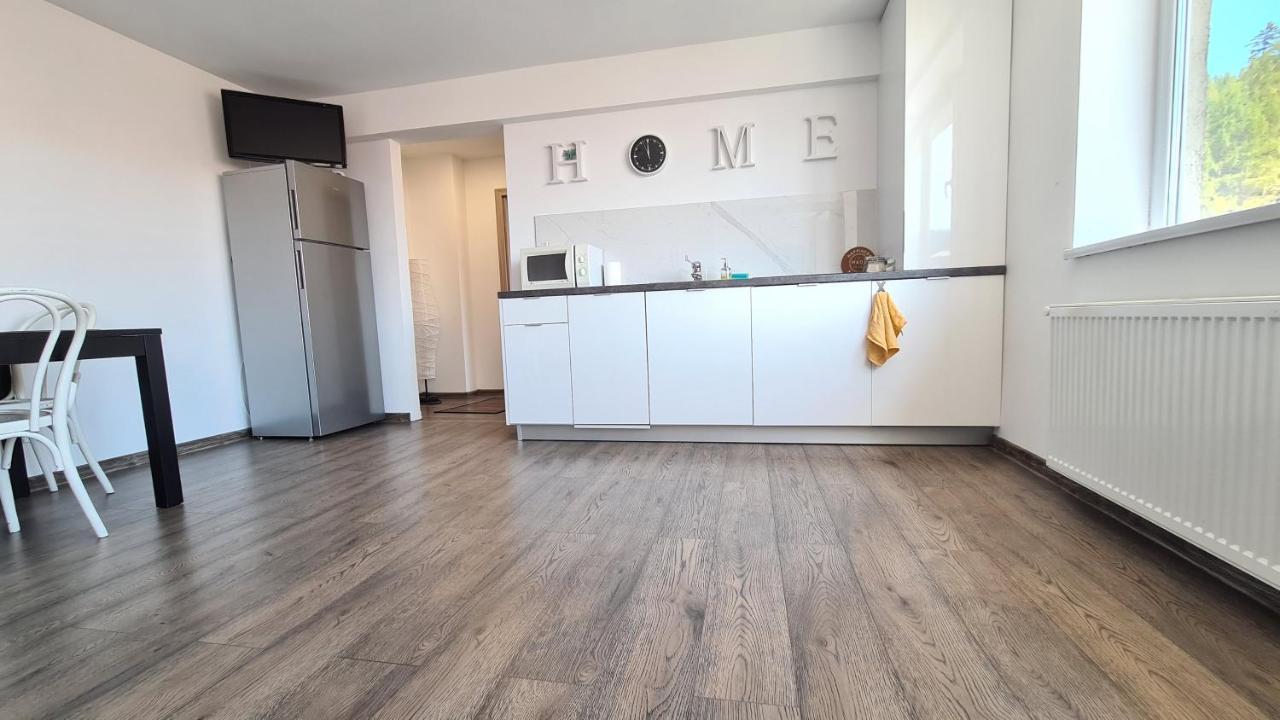 Apartament Apartament In Inima Dornei Vatra Dornei Zewnętrze zdjęcie